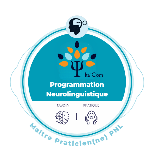 Programmation neurolinguistique