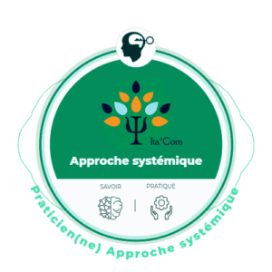 Approche systémique