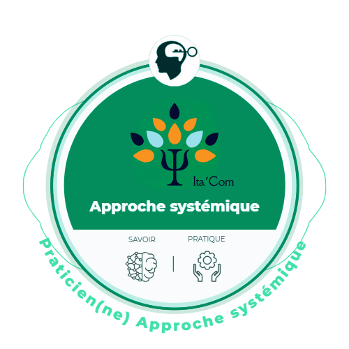 Approche systémique