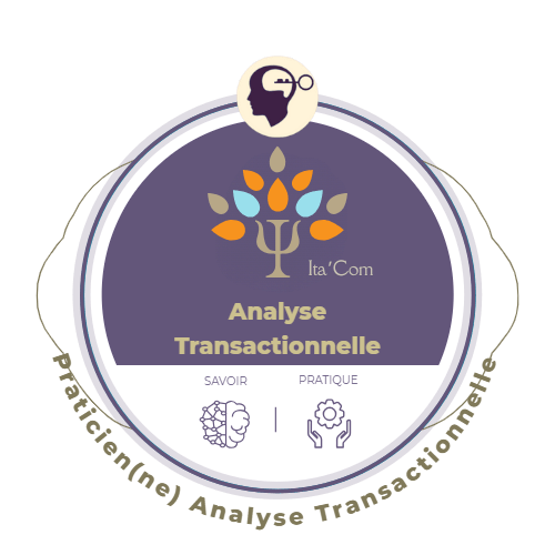 Analyse transactionnelle